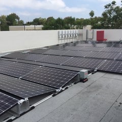 Veterinary Hospital in Carlsbad